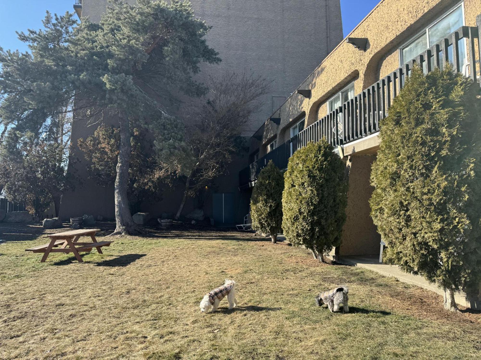 Divya Sutra Plaza And Conference Centre, Vernon, Bc Екстериор снимка
